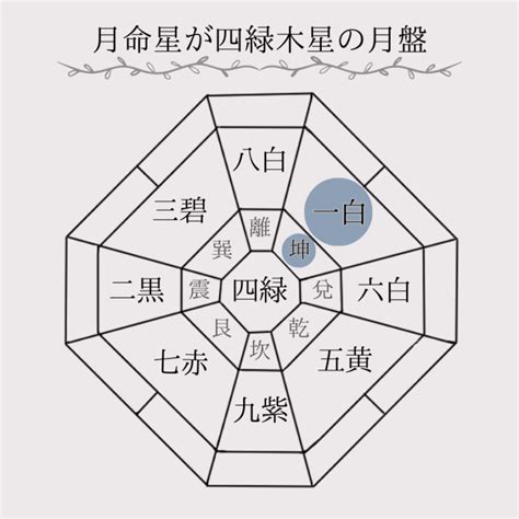 震宮|傾斜宮で読み解くあなたの内面と潜在意識【九星気学】